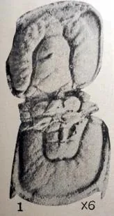 Corrugatagnostus jiangshanensis, a Ordovician trilobite fossil from Zhejiang.