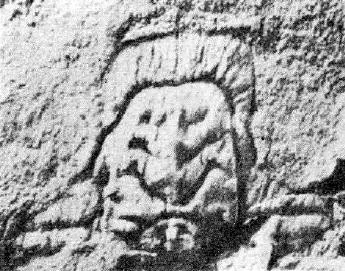 Hypermecaspis asiatica, a Ordovician trilobite fossil from Zhejiang.