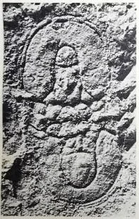Micragnostus orientalis, a Cambrian trilobite fossil from Zhejiang.