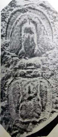 Oidalagnostus changi, a Cambrian trilobite fossil from Zhejiang.