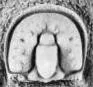 Utagnostus songae, a Cambrian trilobite fossil from Hunan.